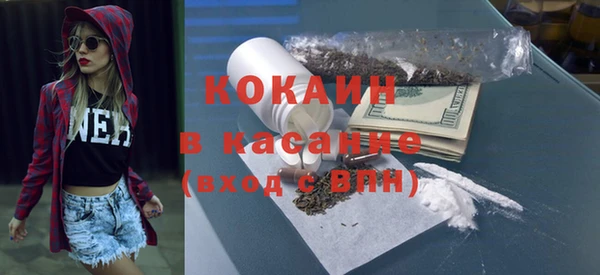 индика Алексеевка