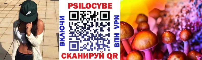 Псилоцибиновые грибы Cubensis Починок